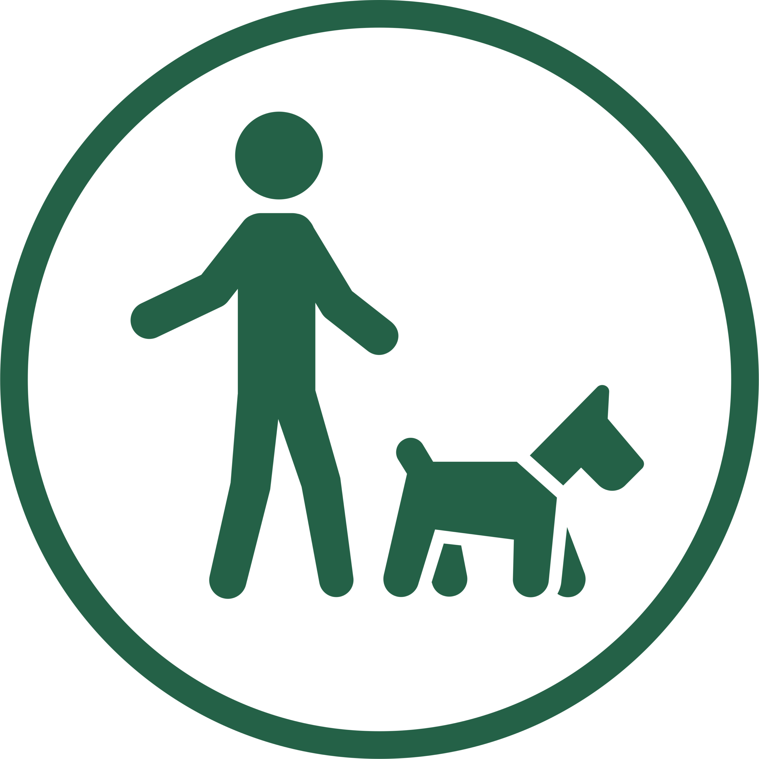 Icon depicting dog off lead.