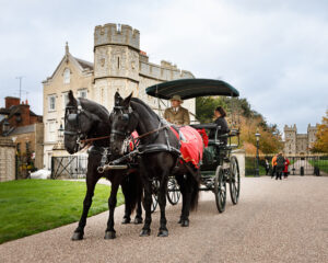 Windsor Carriages on the Long Walk for Christmas.