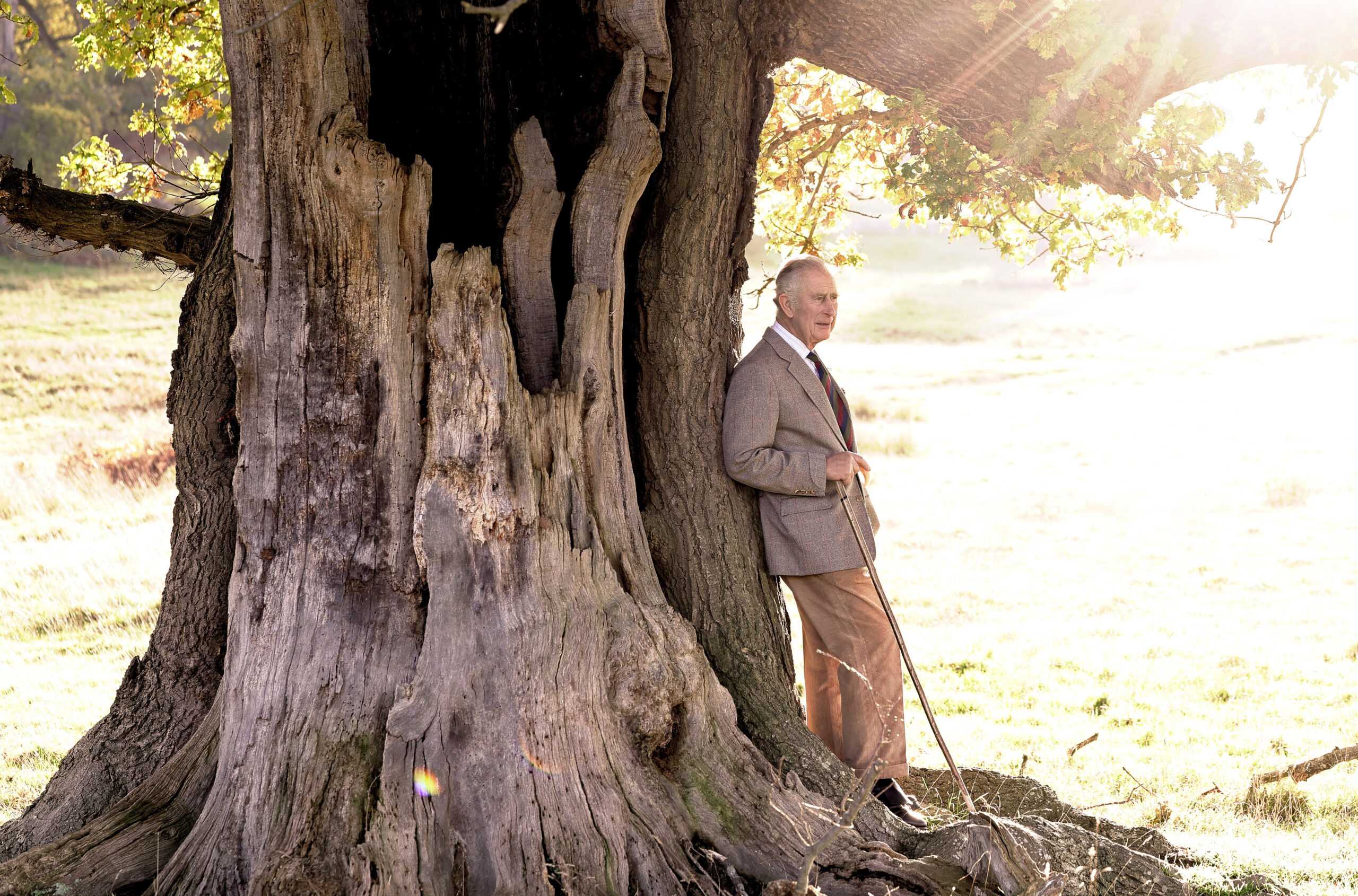 His Majesty King Charles III, Ranger of Windsor Great Park leaning against an oak tree in Windsor Great Park.