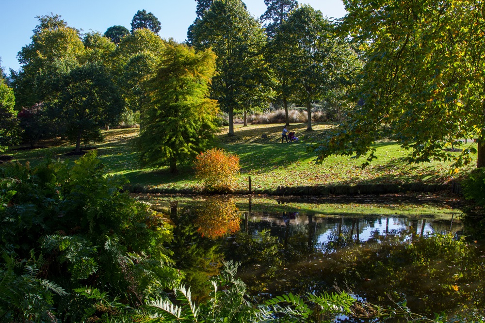 Autumn view of The Savill Garden.