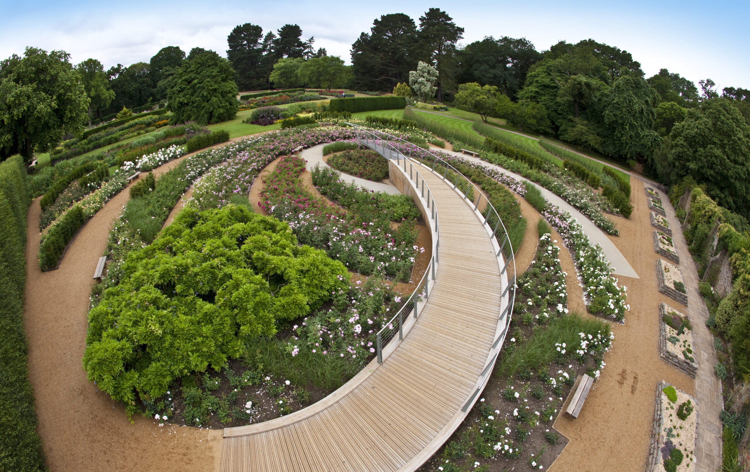 An aerial view of The Rose Garden.