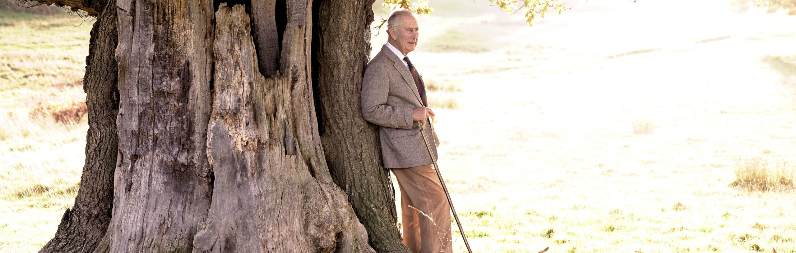 His Majesty King Charles III, Ranger of Windsor Great Park, leaning against an oak tree.
