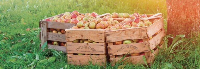 Apples in crates