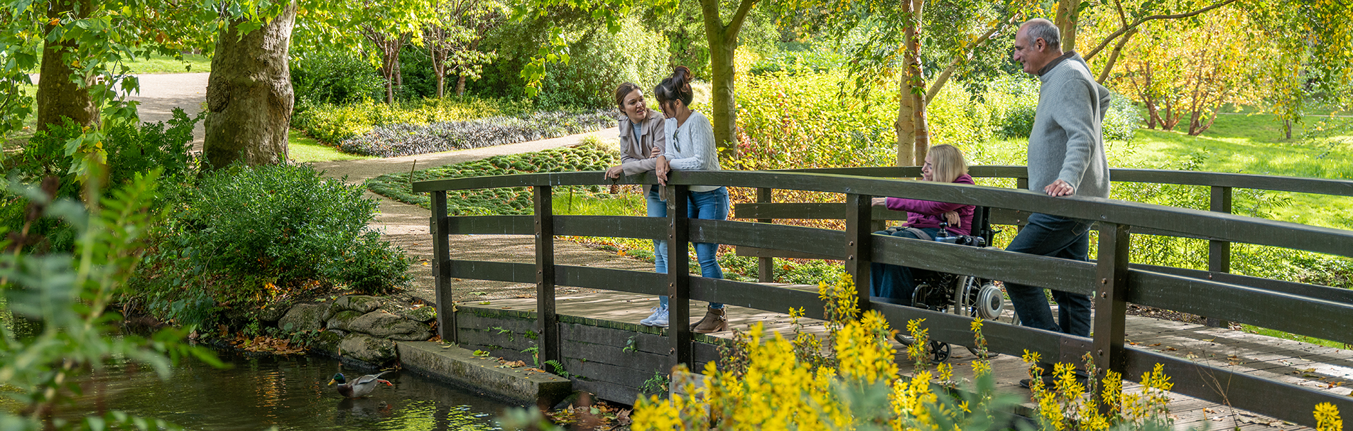 Four adults on a bridge in The Savill Garden surrounded by greenery on a sunny autumn day.