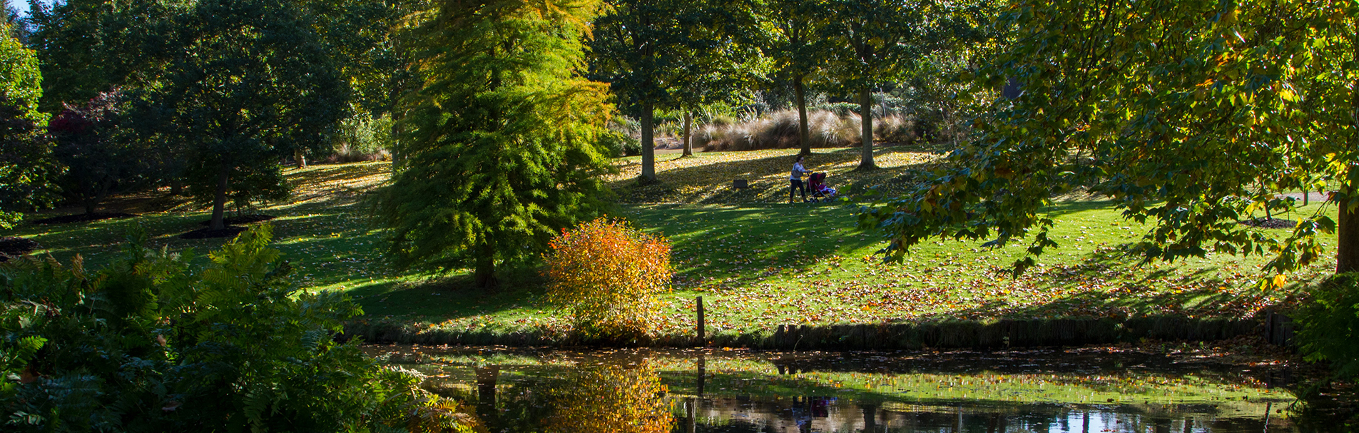 An autumn view of The Savill Garden.