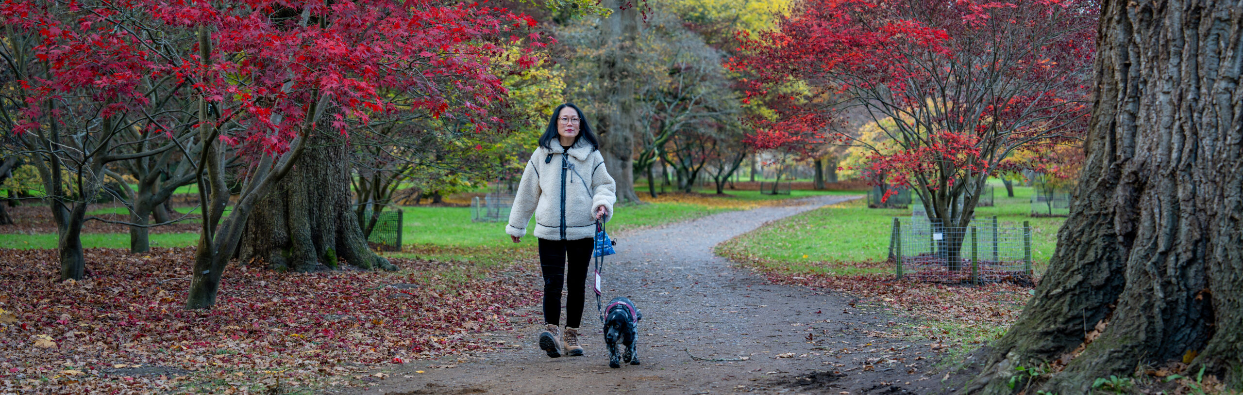 A person walking with a dog on a lead.