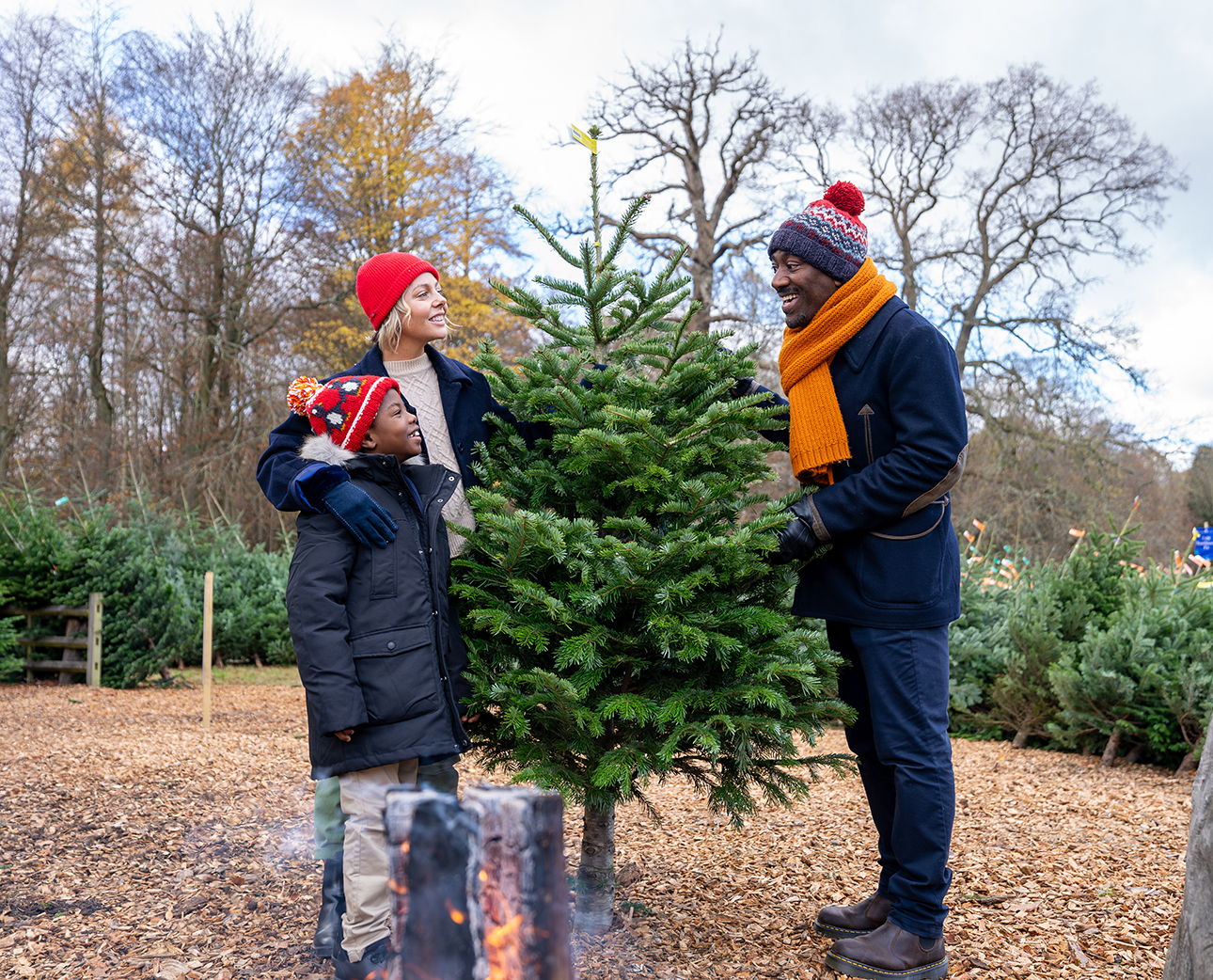 Multi ethnic family holding a Christmas Tree. 