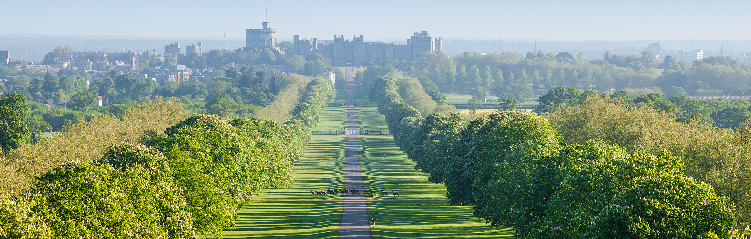 The Long Walk in front of Windsor Castle.